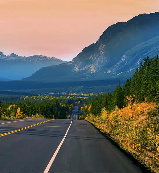 WeDefend-MissingSupporting Road through mountains